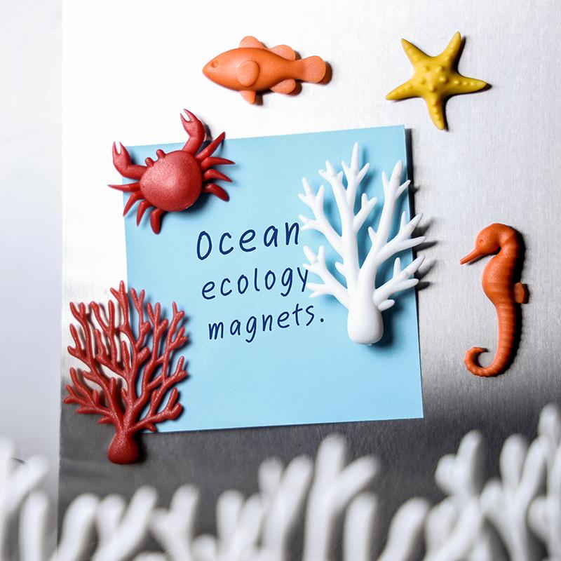 qualy Ocean Ecology Magnets