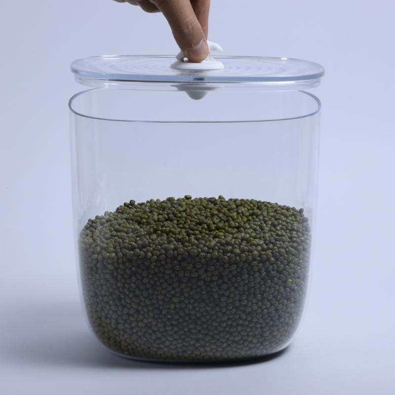 Qualy Polar Bear Ocean Container 3.5 L