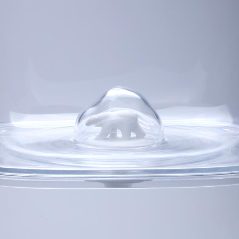 Qualy Polar Bear Ocean Container 3.5 L