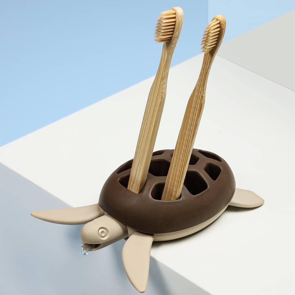 Qualy Save Turtle Holder