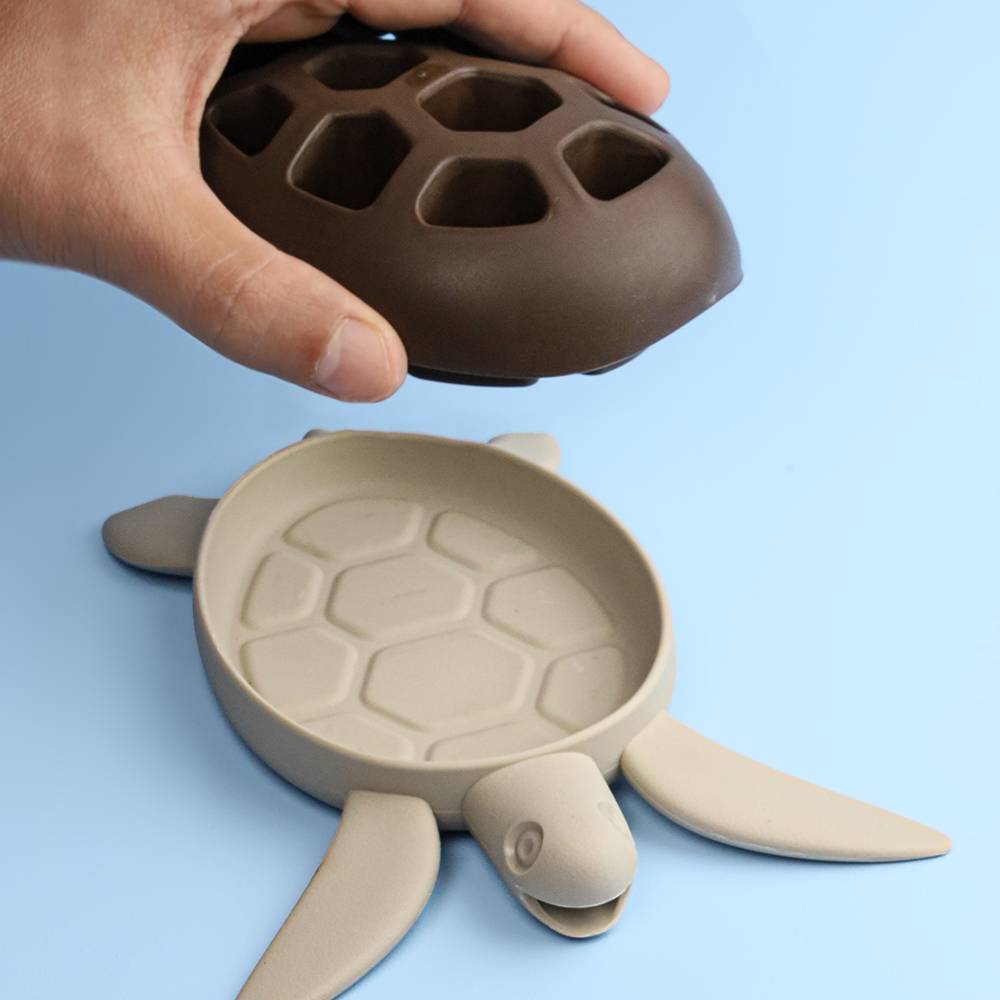 Qualy Save Turtle Holder