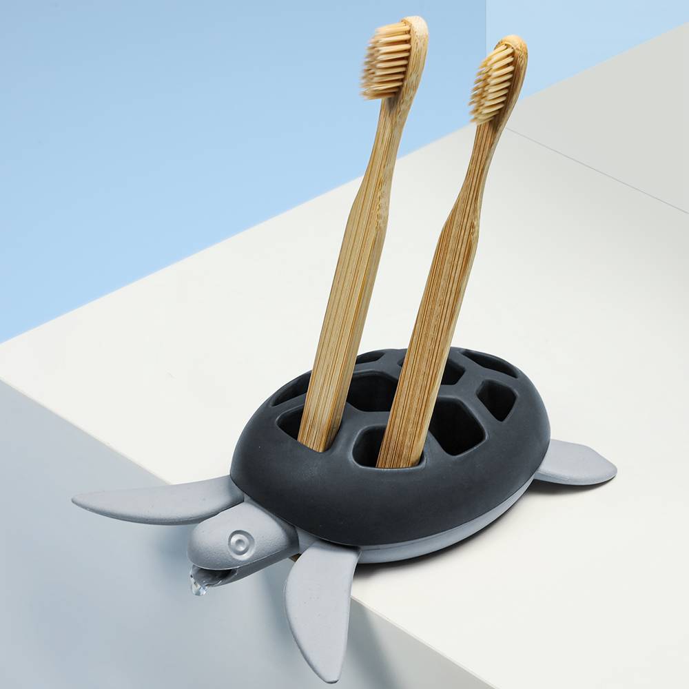 qualy Save Turtle Holder