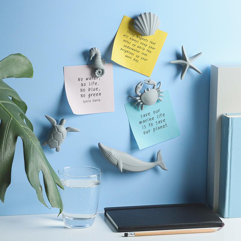 Qualy Sea Shell Magnet