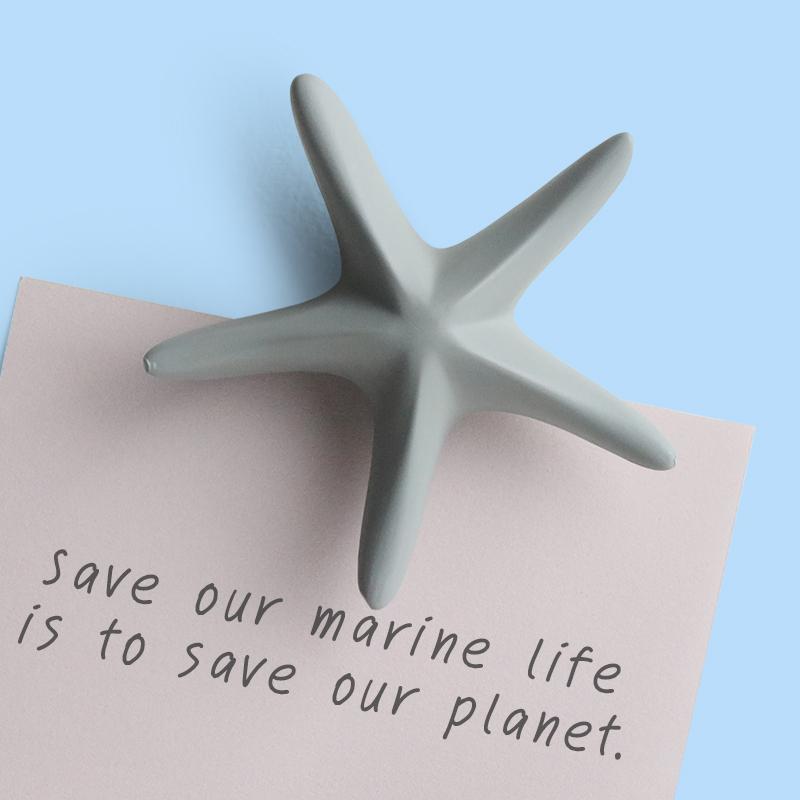 qualy Sea Star Magnet