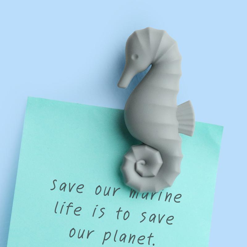 qualy Seahorse Magnet
