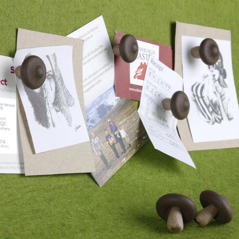 Qualy Shiitake Magnet