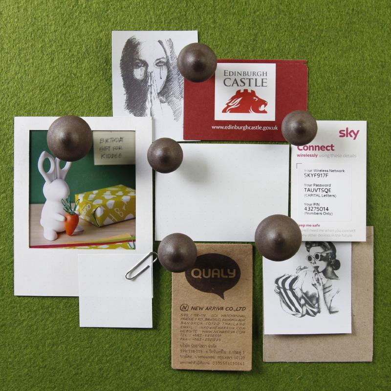 qualy Shiitake Magnet