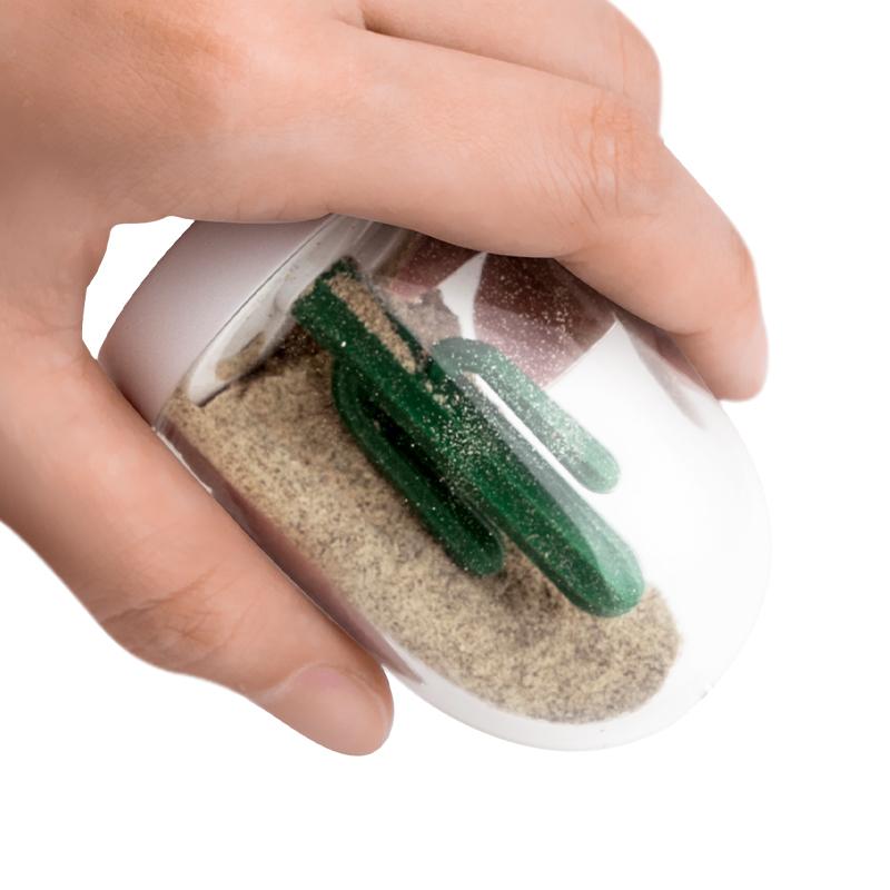 Qualy Winter And Summer