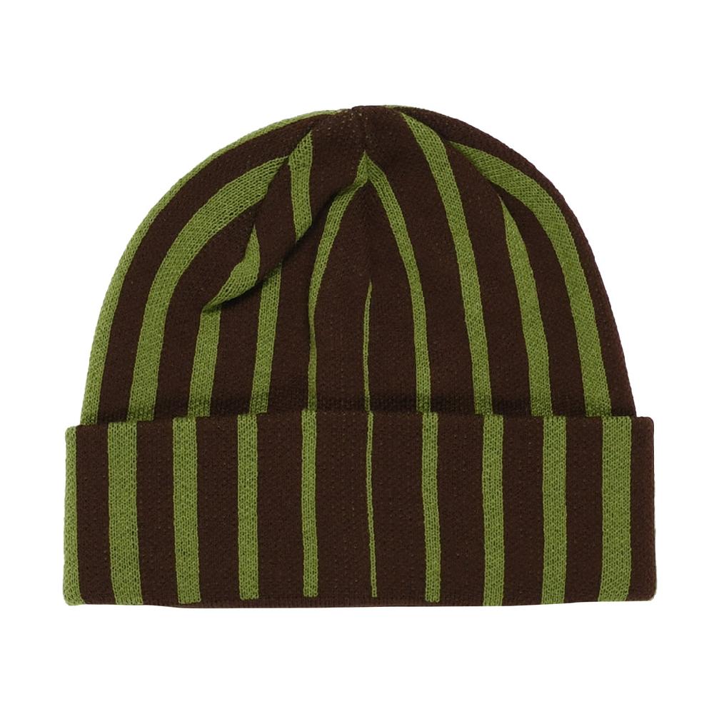 quasi skateboards Blender Beanie [Iguana]