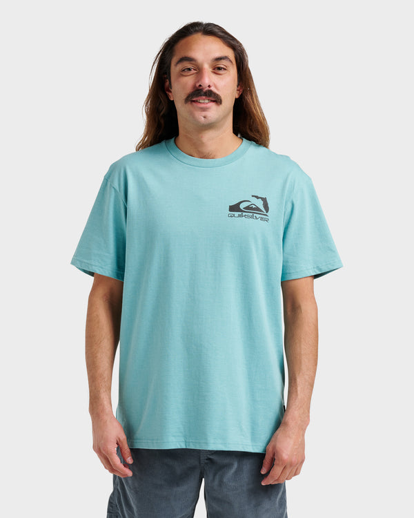 quiksilver Fl Florida Lookout Point Classic T-shirt