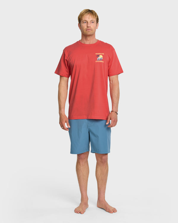 Quiksilver Ca Bear Set T-Shirt