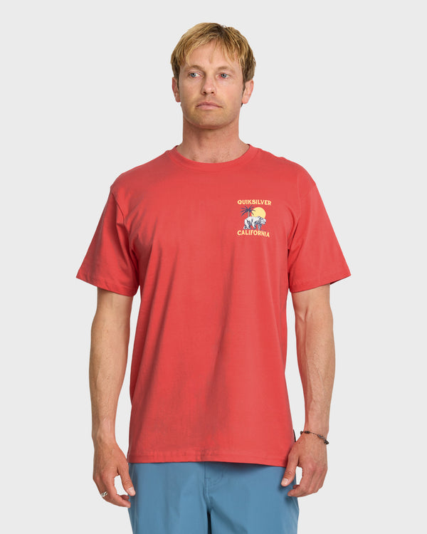 quiksilver Ca Bear Set T-Shirt