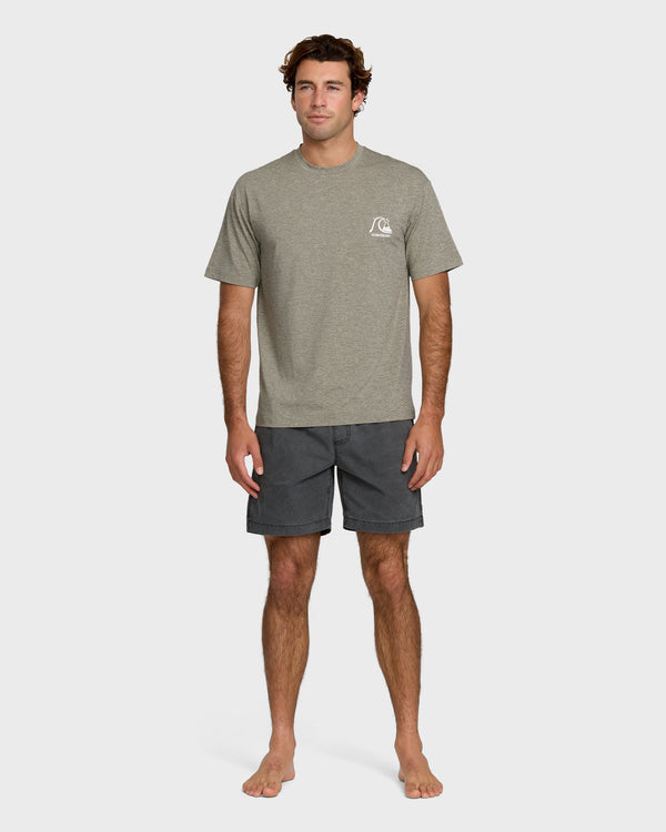 Quiksilver DNA Logo Surf Short Sleeve Surf Tee