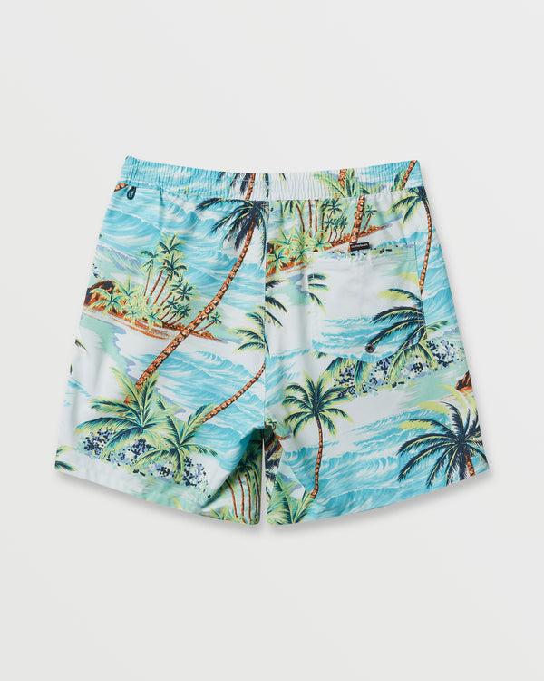 Quiksilver Everyday Mix 17" Swim Trunks