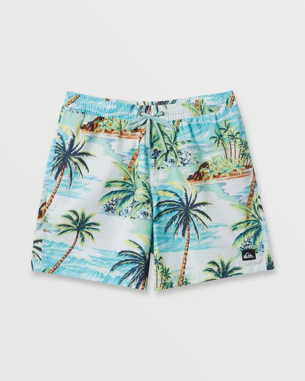 quiksilver Everyday Mix 17" Swim Trunks