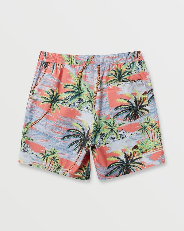 Quiksilver Everyday Mix 17" Swim Trunks
