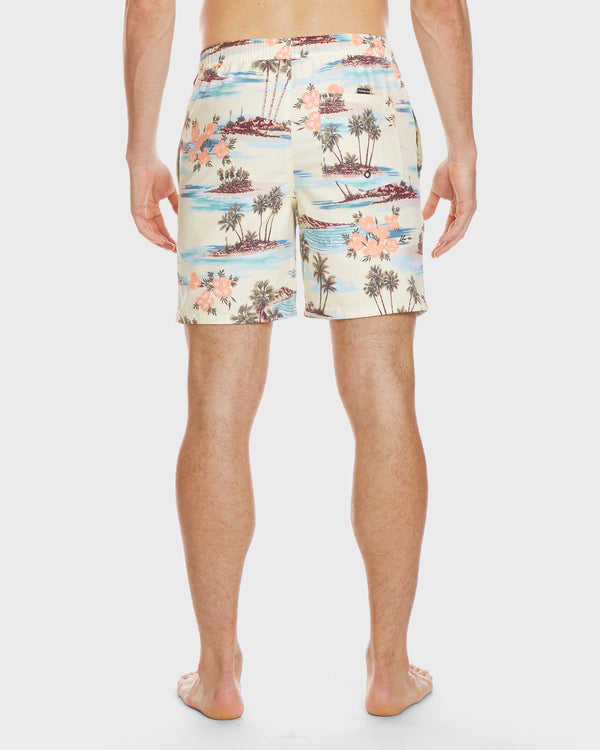Quiksilver Everyday Mix 17" Swim Trunks