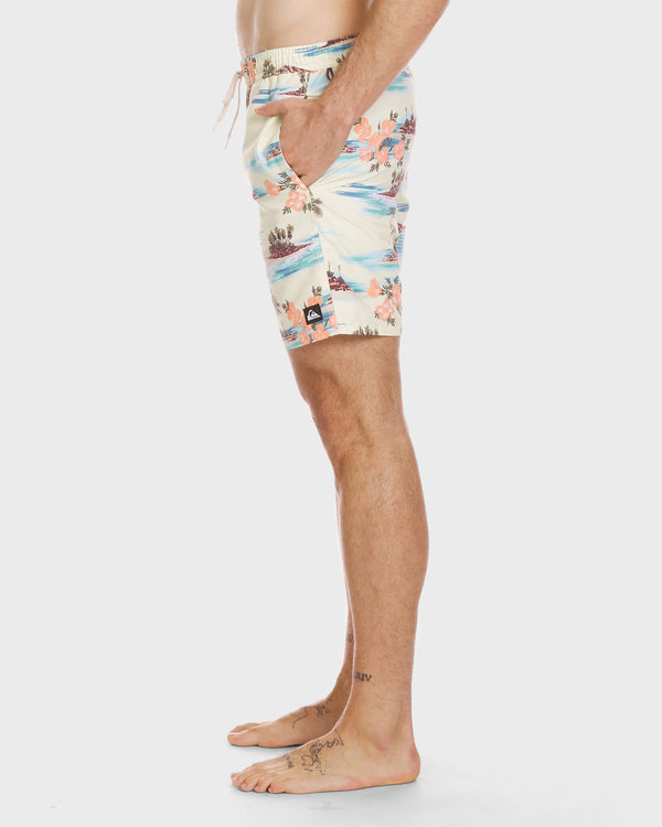 Quiksilver Everyday Mix 17" Swim Trunks