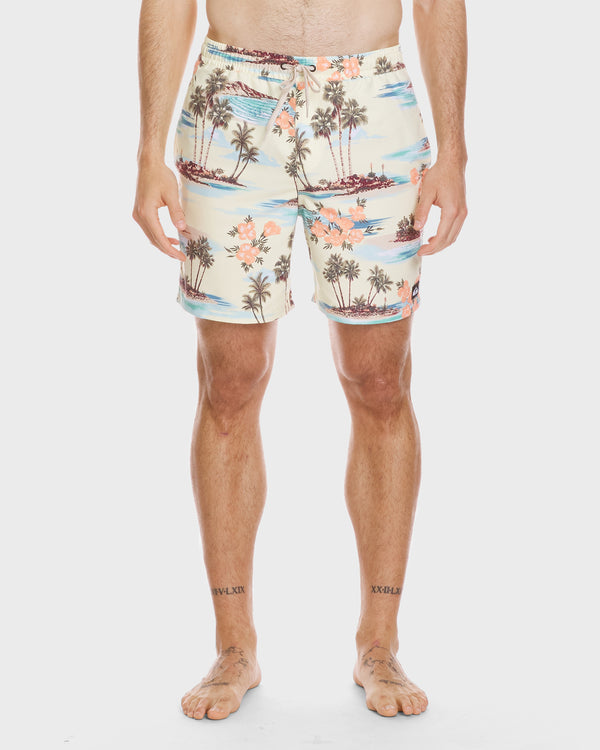 quiksilver Everyday Mix 17" Swim Trunks