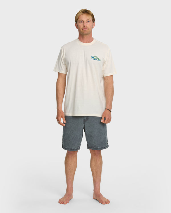 Quiksilver Everyday Paradise Stw T-Shirt