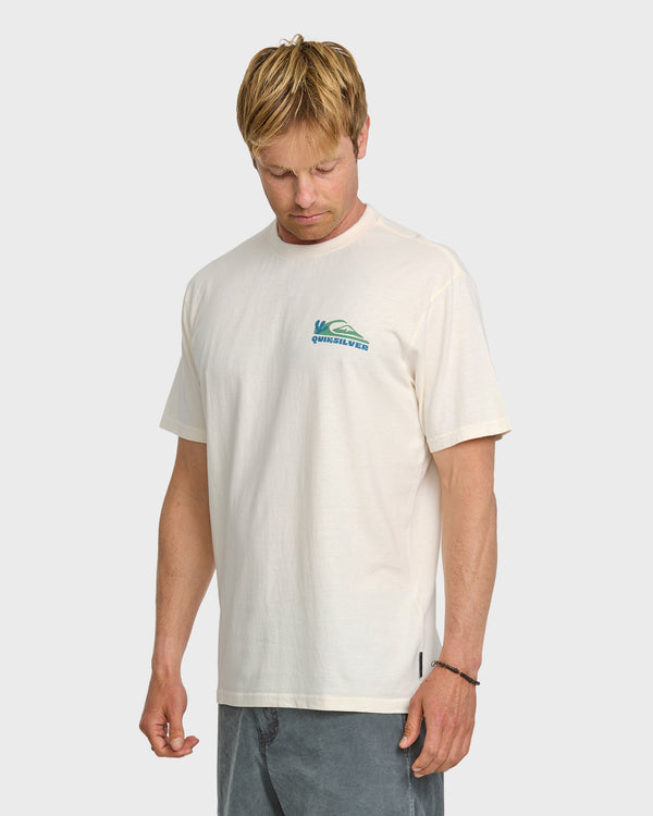 Quiksilver Everyday Paradise Stw T-Shirt