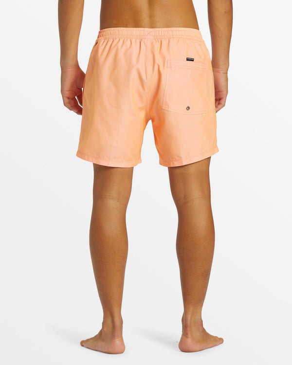 Quiksilver Everyday Solid 15" Swim Trunks