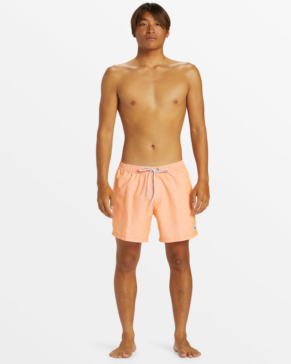 Quiksilver Everyday Solid 15" Swim Trunks