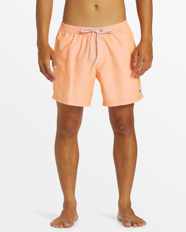 quiksilver Everyday Solid 15" Swim Trunks