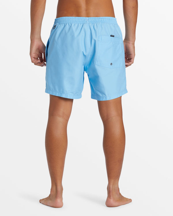 Quiksilver Everyday Solid 15" Swim Trunks