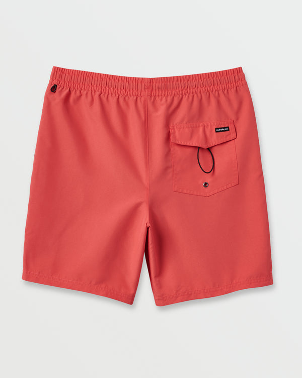 Quiksilver Everyday Solid 17" Swim Trunks