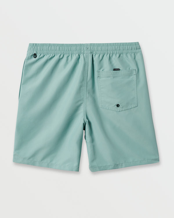 Quiksilver Everyday Solid 17" Swim Trunks