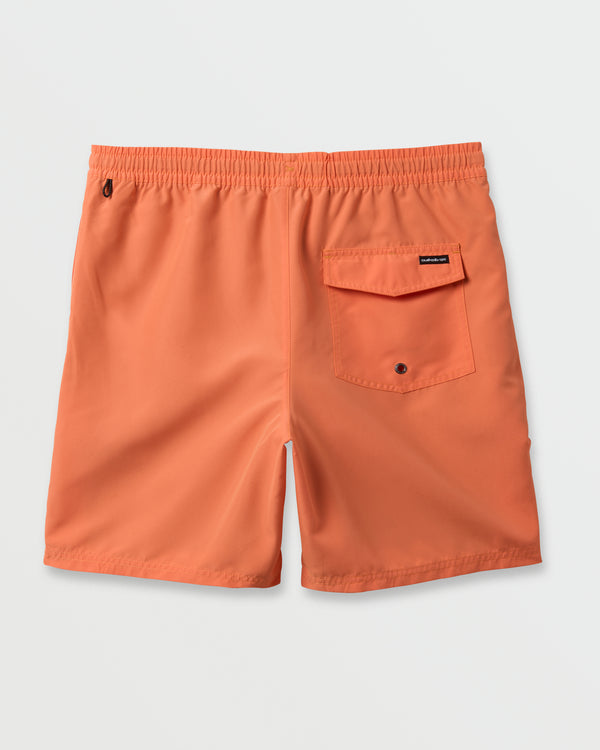 Quiksilver Everyday Solid 17" Swim Trunks