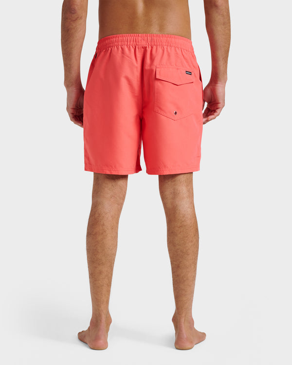 Quiksilver Everyday Solid 17" Swim Trunks