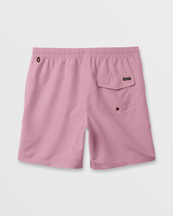 Quiksilver Everyday Solid 17" Swim Trunks