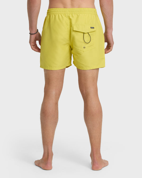 Quiksilver Everyday Solid 17" Swim Trunks