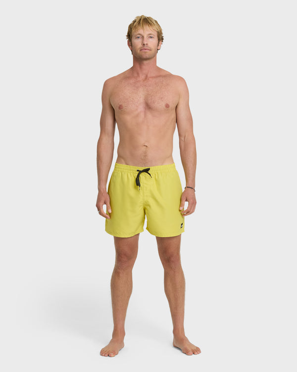 Quiksilver Everyday Solid 17" Swim Trunks