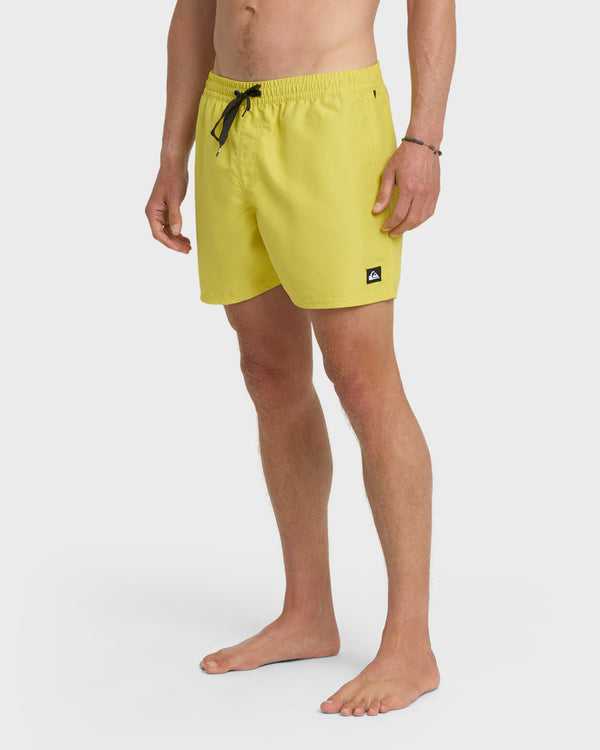 Quiksilver Everyday Solid 17" Swim Trunks