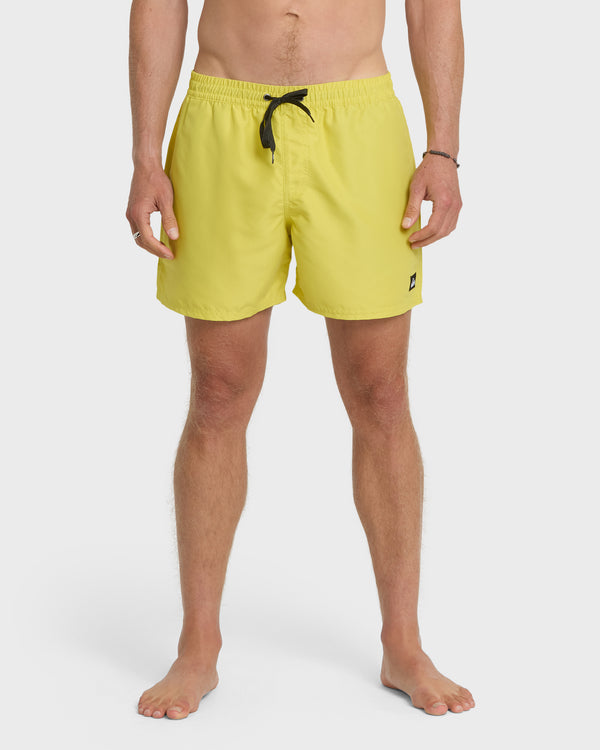 quiksilver Everyday Solid 17" Swim Trunks