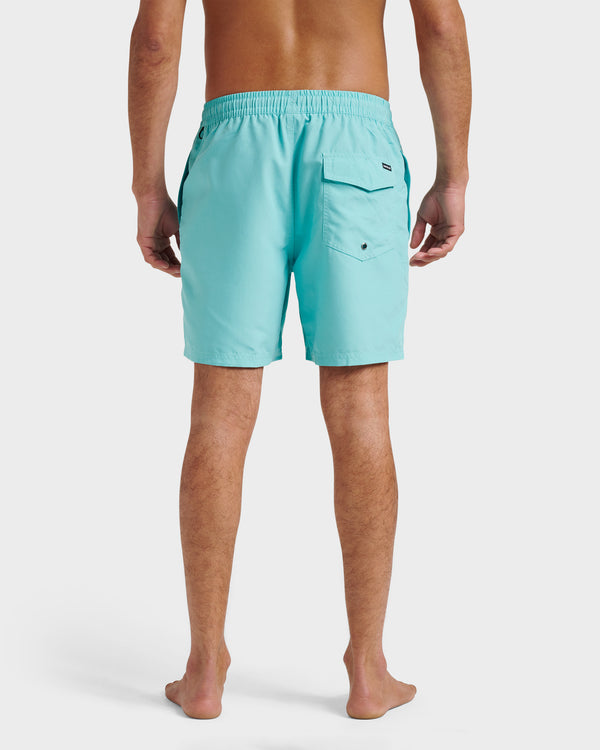 Quiksilver Everyday Solid 17" Swim Trunks