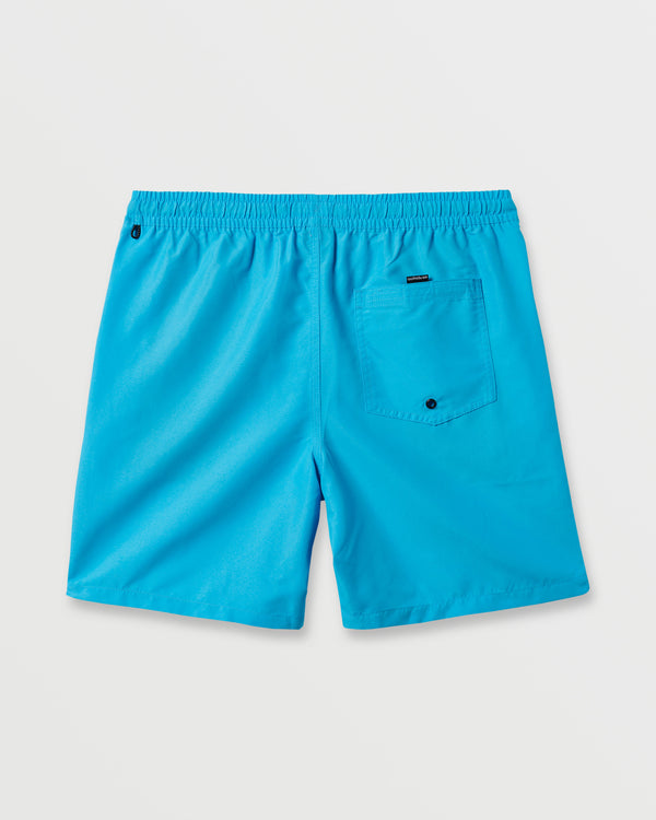 Quiksilver Everyday Solid 17" Swim Trunks