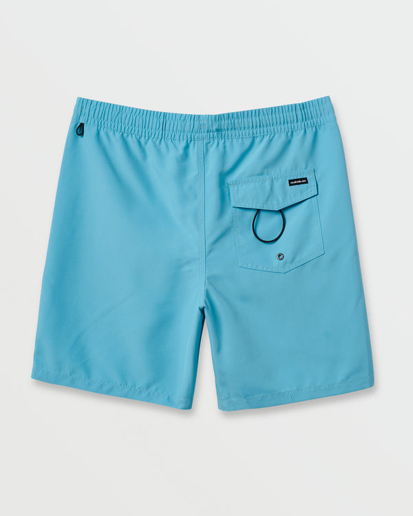 Quiksilver Everyday Solid 17" Swim Trunks