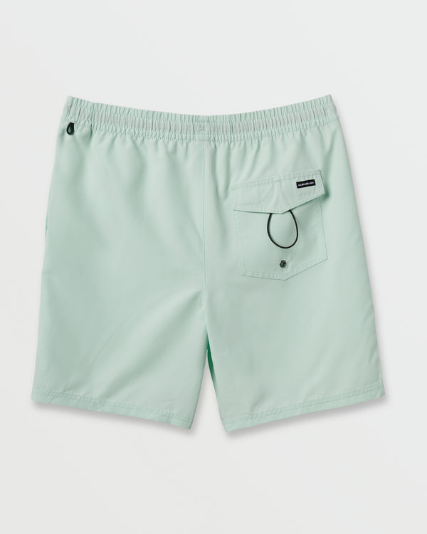 Quiksilver Everyday Solid 17" Swim Trunks