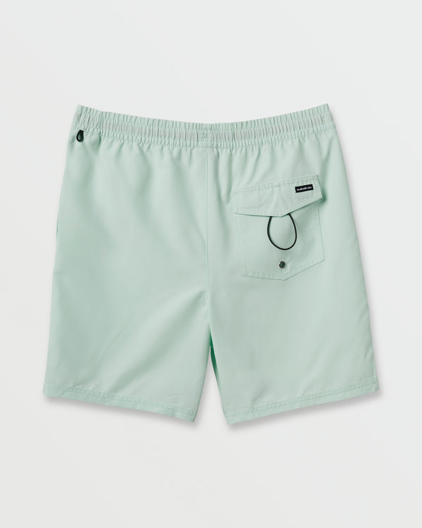 Quiksilver Everyday Solid 17" Swim Trunks