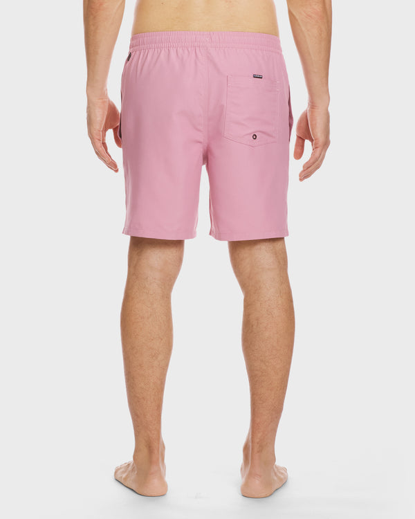 Quiksilver Everyday Solid 17" Swim Trunks
