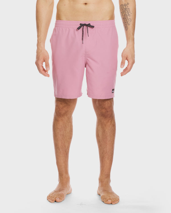 quiksilver Everyday Solid 17" Swim Trunks
