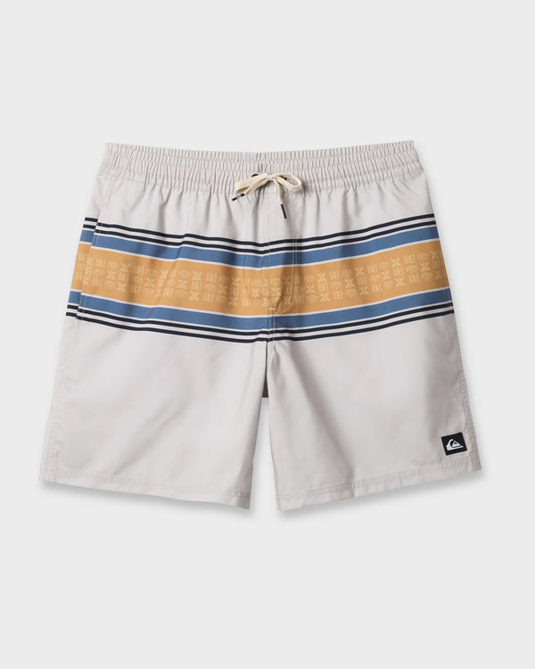 Quiksilver Everyday Super Stripe 17" Swim Trunks