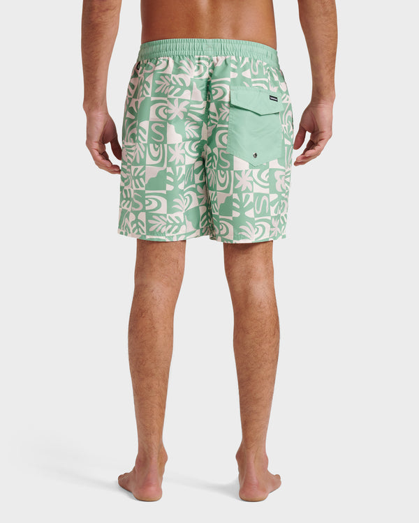 Quiksilver Everyday Terra Swim Trunks