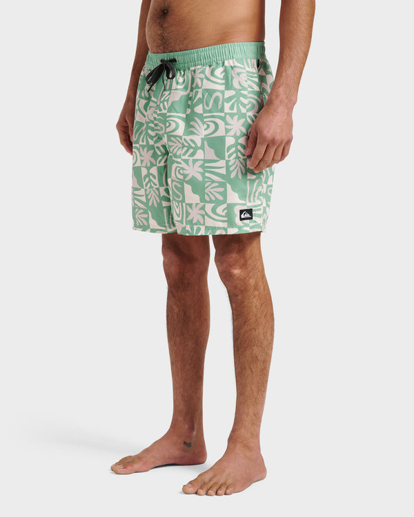 Quiksilver Everyday Terra Swim Trunks