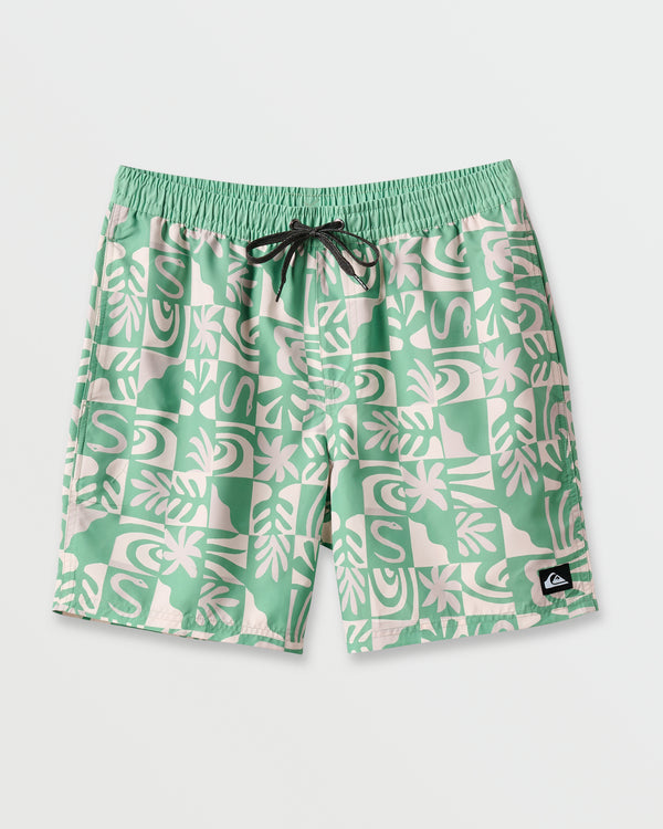 Quiksilver Everyday Terra Swim Trunks