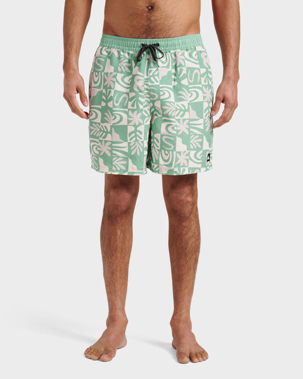 quiksilver Everyday Terra Swim Trunks